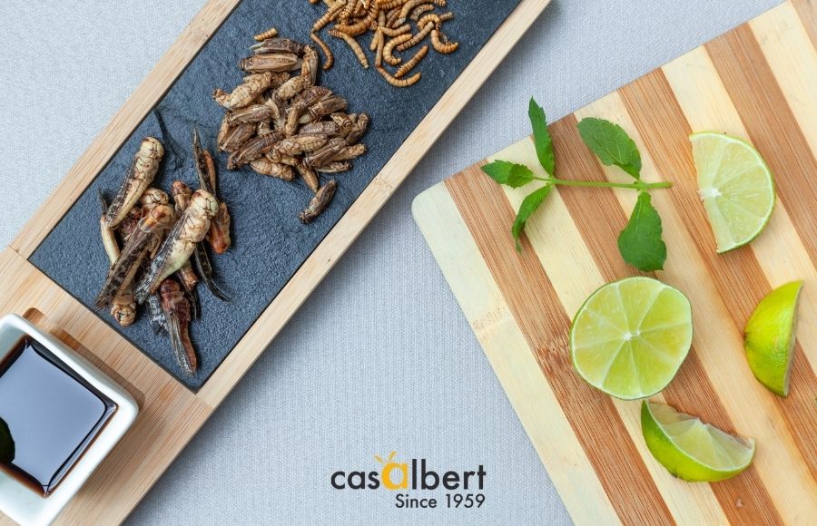 ¿AOVE e Insectos? ¡Un maridaje inaudito!