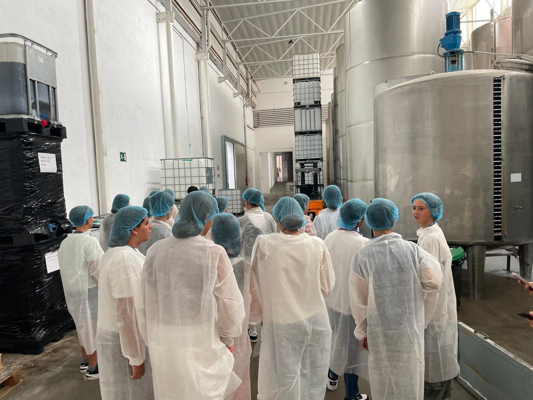 Aceites Albert colabora con EDEM Escuela de Empresarios en el “Business Challenge”