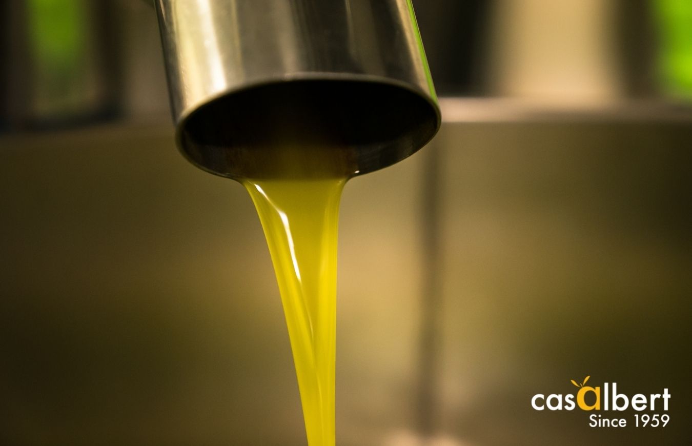 ¿Qué son los polifenoles del aceite de oliva?