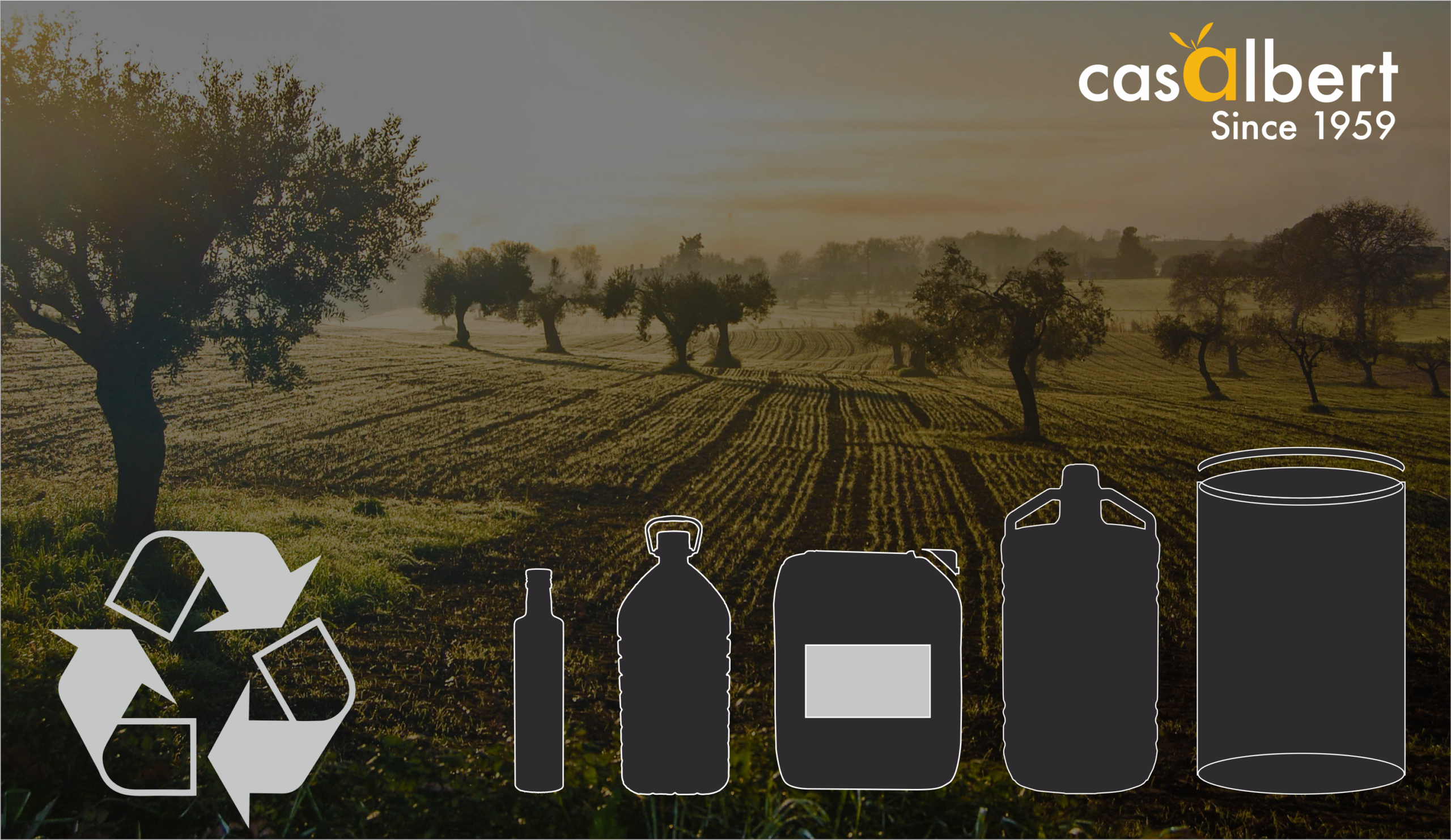 Cómo reciclar los envases de Aceites Albert