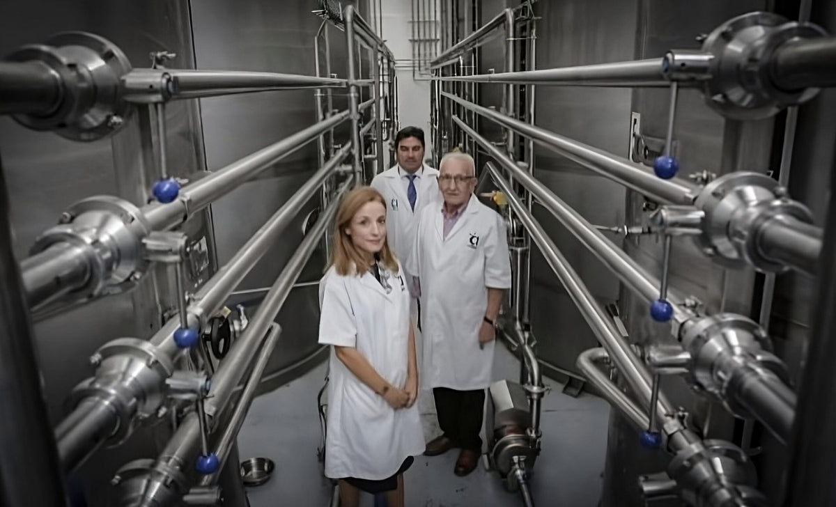 Innovación y Calidad en las Instalaciones de Aceites Albert