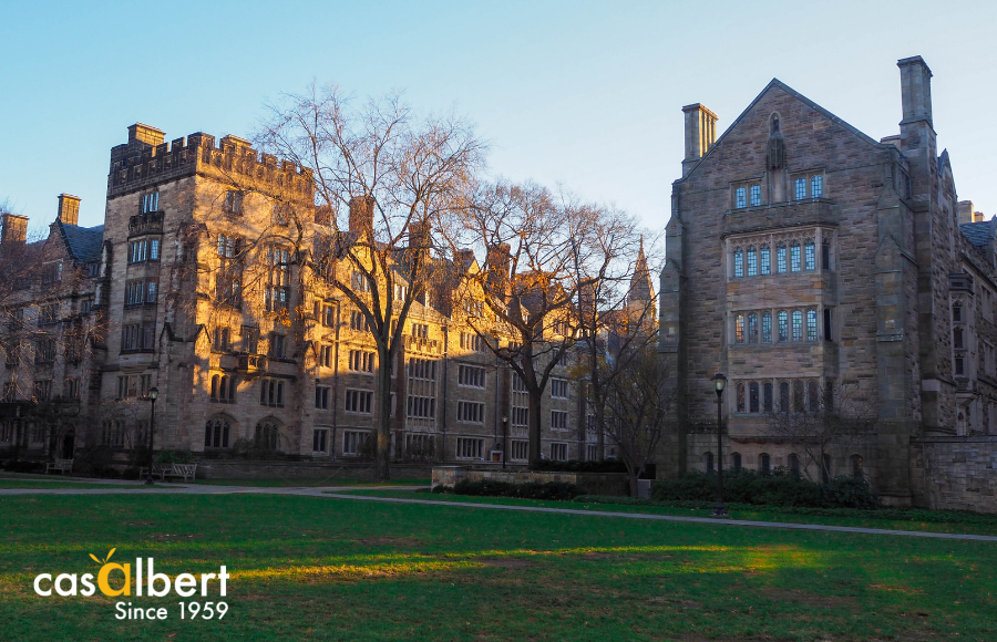 La Universidad de Yale creará el Olive Science and Health Institute