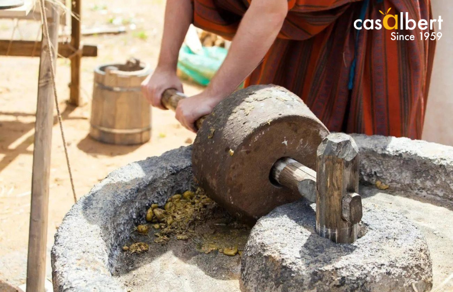 La producción del aceite de oliva en la antigüedad