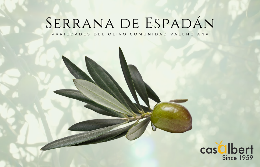 Variedad Serrana de Espadán Comunidad Valenciana