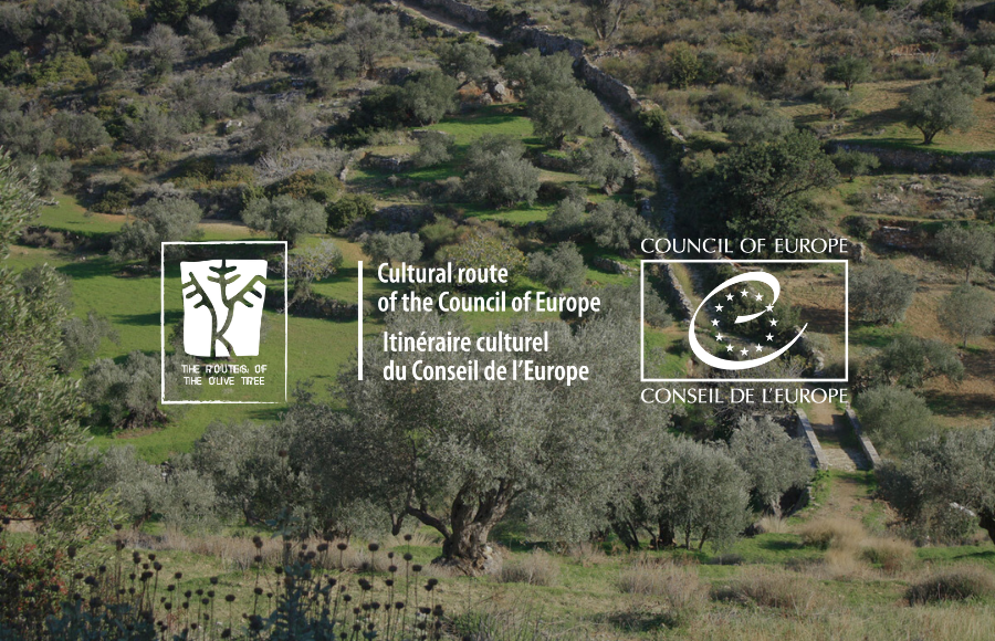 The Routes of the Olive Tree: Un Viaje Intercultural a Través del Legado Mediterráneo