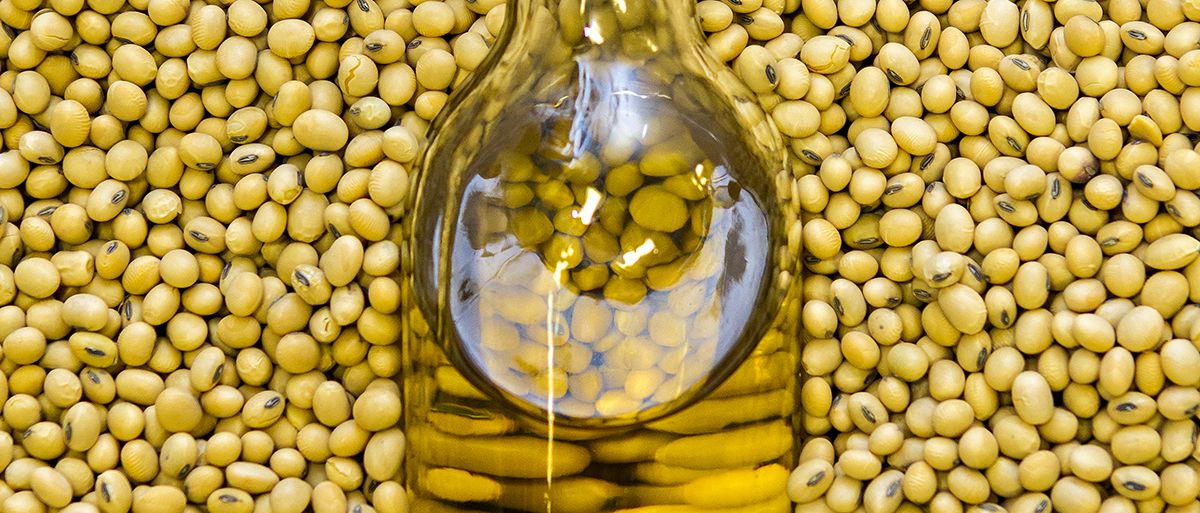 De las semillas al ACEITE DE SOJA
