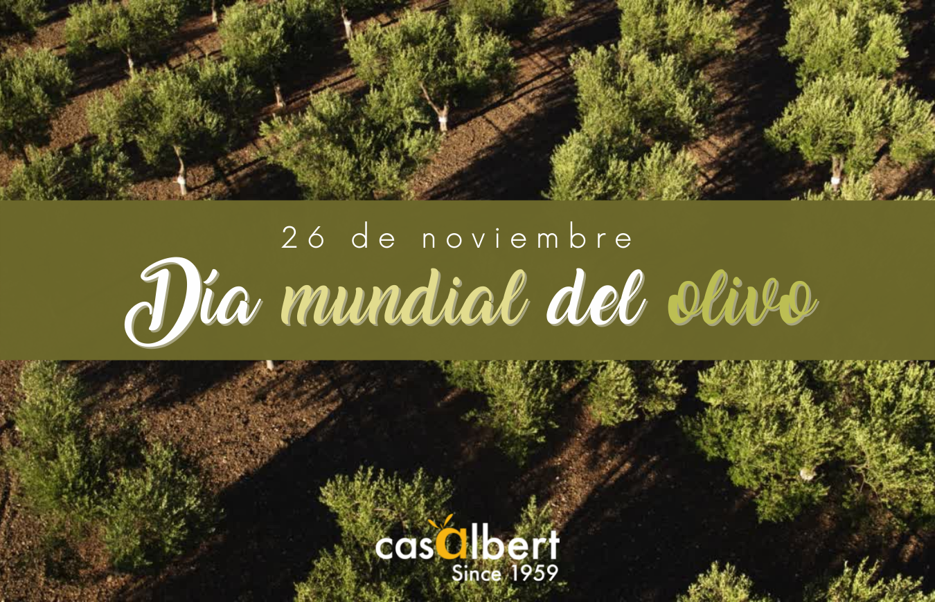 El 26 de noviembre se celebra el Día Mundial del Olivo