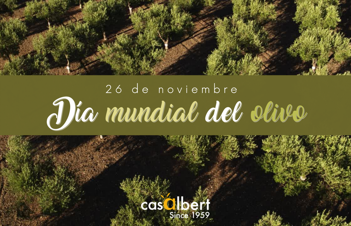 El 26 de noviembre se celebra el Día Mundial del Olivo