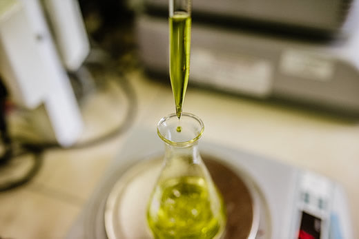 El Tirosol del aceite de oliva virgen extra y el Parkinson