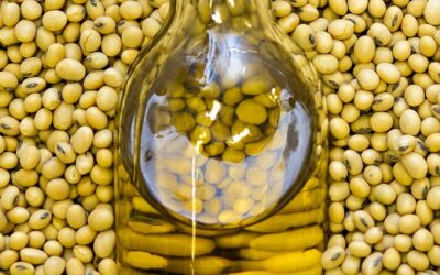 De las semillas al ACEITE DE SOJA