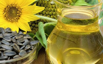 Descubriendo el aceite de GIRASOL ALTO OLEICO