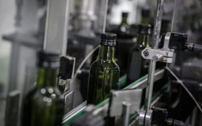 Envasado del Aceite de Oliva ¿Cuáles son las fases del proceso?