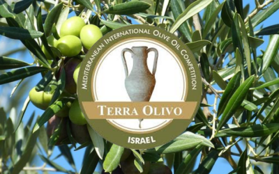 TerraOlivo 2019 premia la excelencia de los Aceites de Oliva Extra Virgen de CASALBERT
