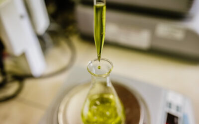 El Tirosol del aceite de oliva virgen extra y el Parkinson