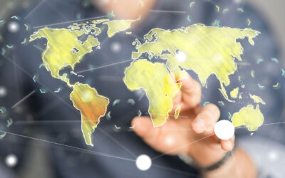 La exportación del Aceite de Oliva español y el consumo interno crece