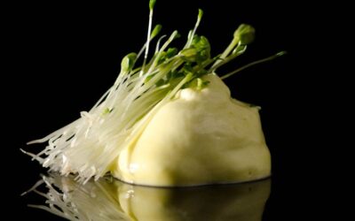 Espuma de Aceite de Oliva Virgen Extra