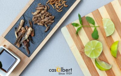 ¿AOVE e Insectos? ¡Un maridaje inaudito!