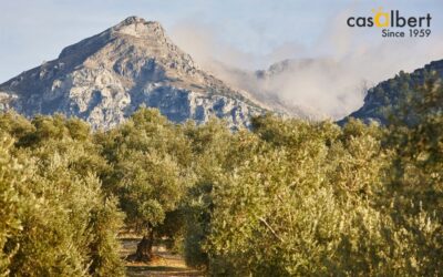 El AOVE procedente de la sierra tiene mayor contenido de ácidos grasos y fenoles que un aceite de tierras bajas