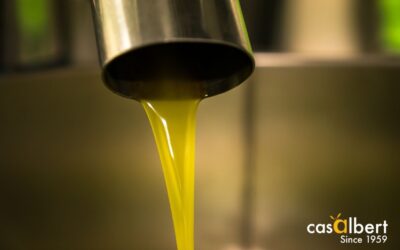 ¿Qué son los polifenoles del aceite de oliva?