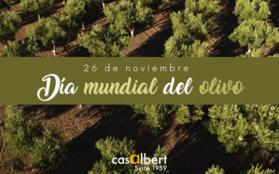 El 26 de noviembre se celebra el Día Mundial del Olivo