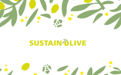 Proyecto SUSTAINOLIVE