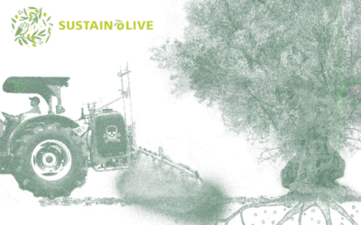 Cuidar el olivar para ayudar al planeta