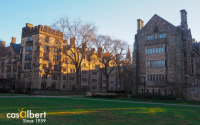 La Universidad de Yale creará el Olive Science and Health Institute