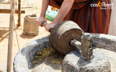 La producción del aceite de oliva en la antigüedad