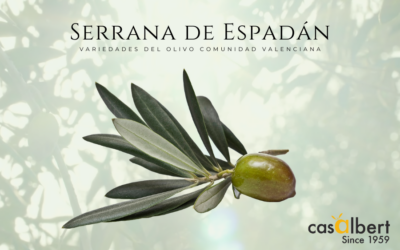Variedad Serrana de Espadán: el tesoro oleícola valenciano